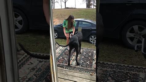 Girl Sells Her Heels And Pounded Good By Pawn Keeper (Jenna .